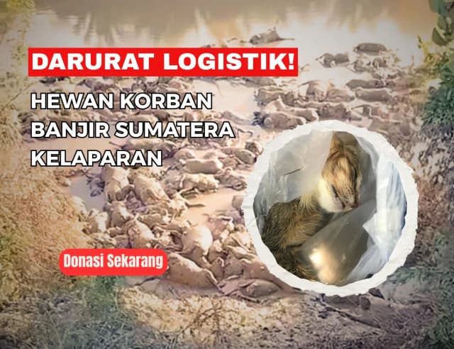 DARURAT Hewan Terdampak Banjir Butuh Bantuan