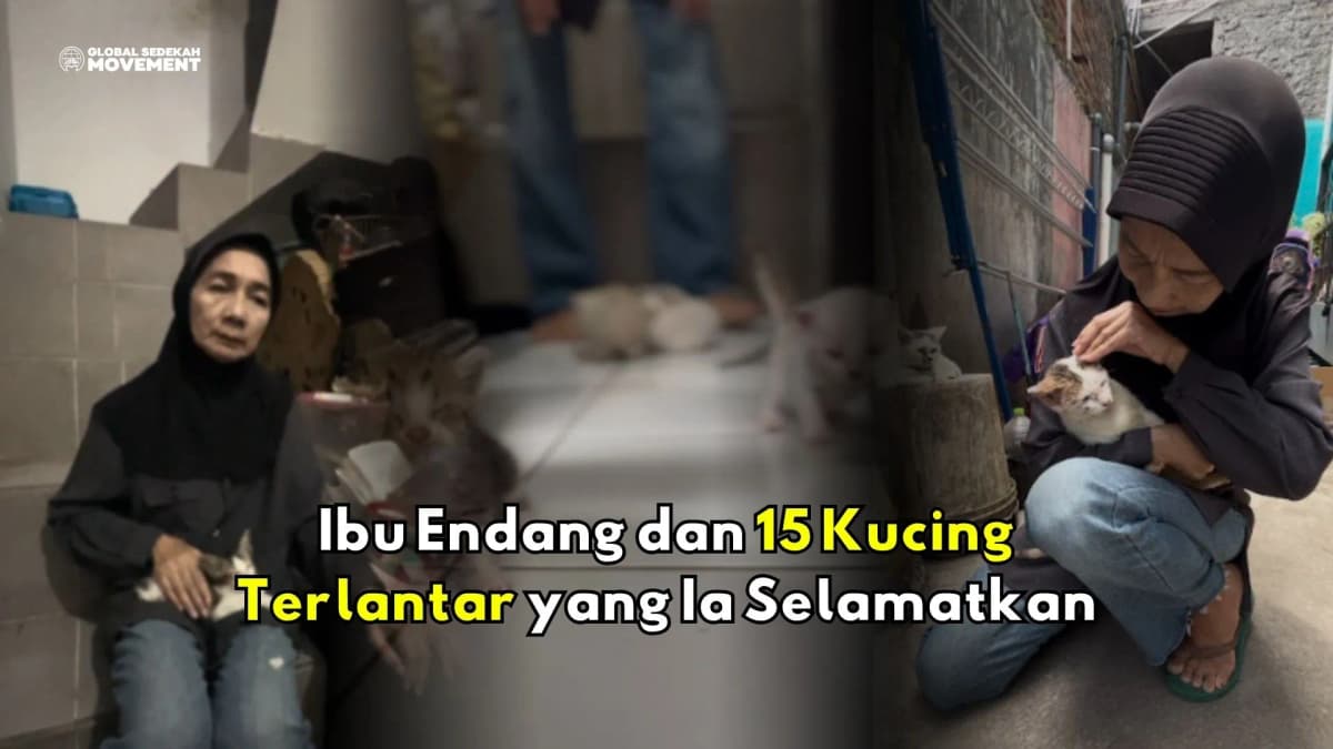 Foto campaign Ibu Endang Dan 15 Kucing Terlantar yang Ia Selamatkan