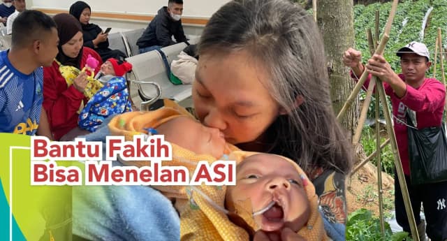 Bantu dik Fakih miliki langit-langit mulut