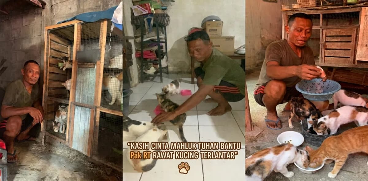 Foto campaign kasih mahluk Tuhan bantu pak RT rawat kucing