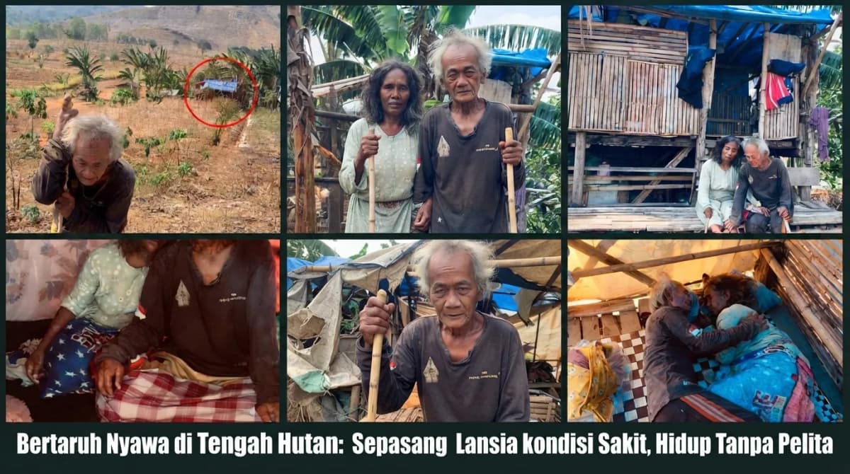 Foto campaign SEPASANG LANSIA BERTAHAN HIDUP DI HUTAN