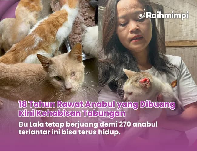 Foto campaign Shelter Terpuruk Ratusan Hewan Terancam Kelaparan
