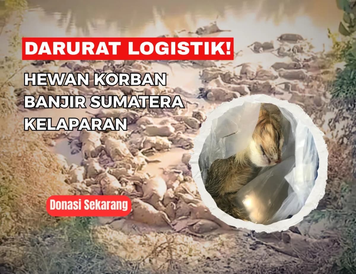 Foto campaign DARURAT Hewan Terdampak Banjir Butuh Bantuan