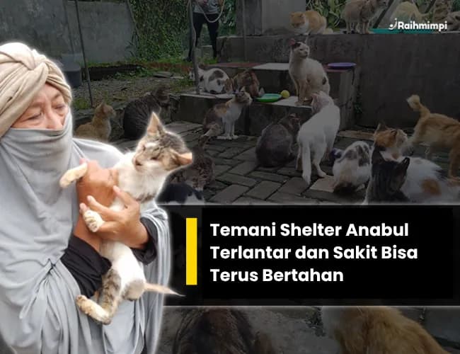 Foto campaign Bantu Anabul Sakit Terlantar untuk Terus Bertahan